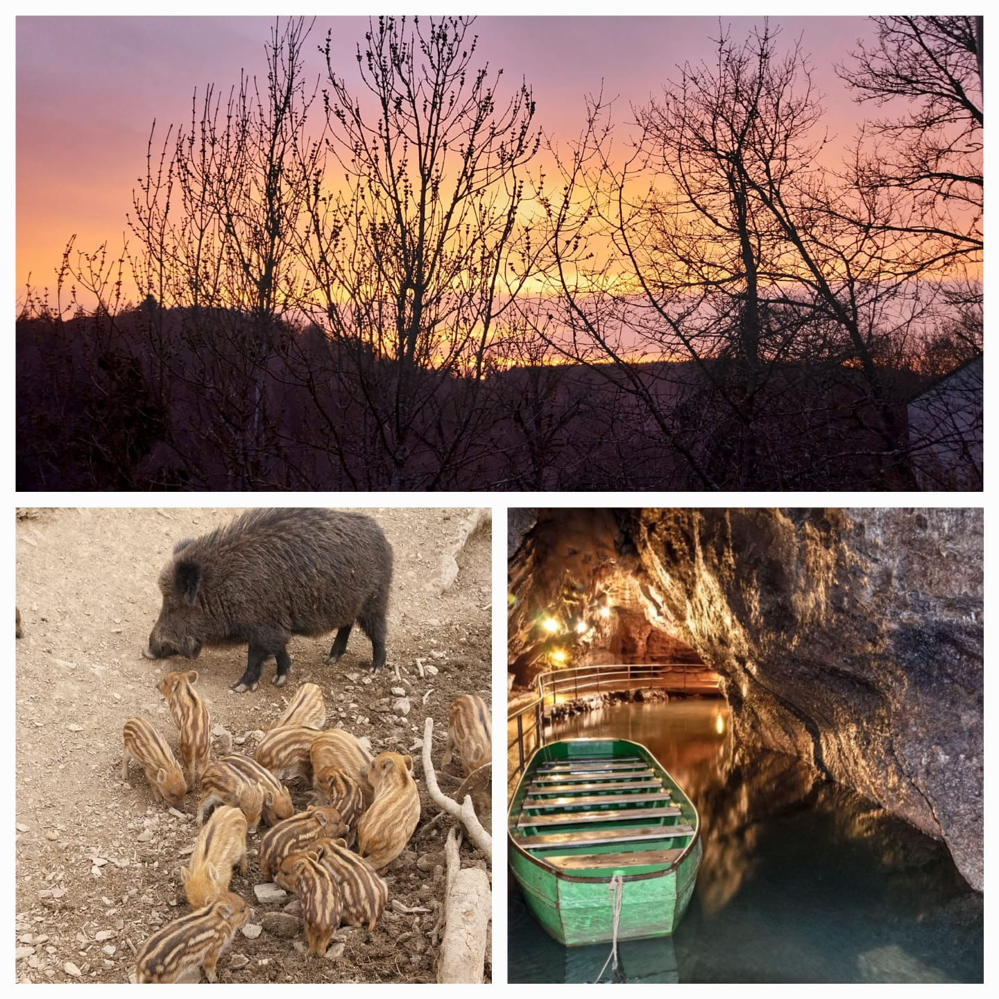 Coucher de soleil grottes et faune