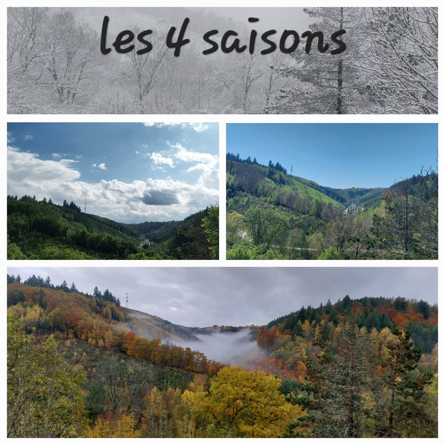 Les 4 saisons Ardenne belge